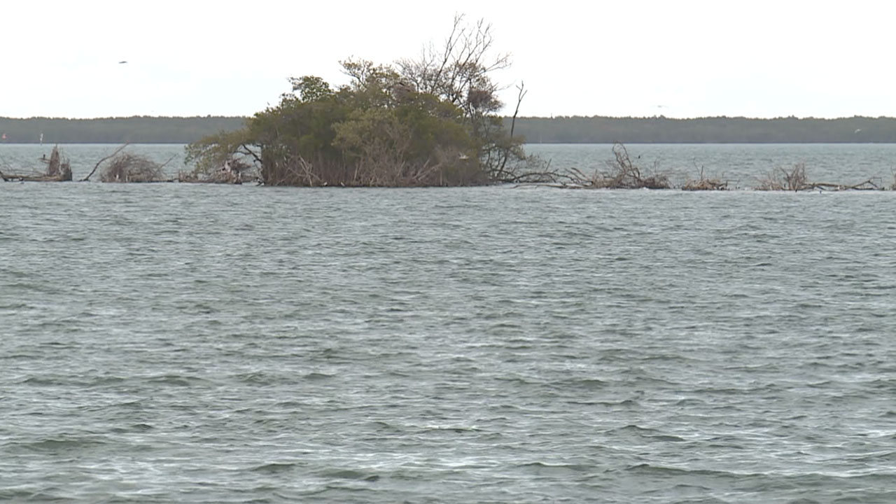 Indian River Lagoon in Sebastian on March 1, 2026