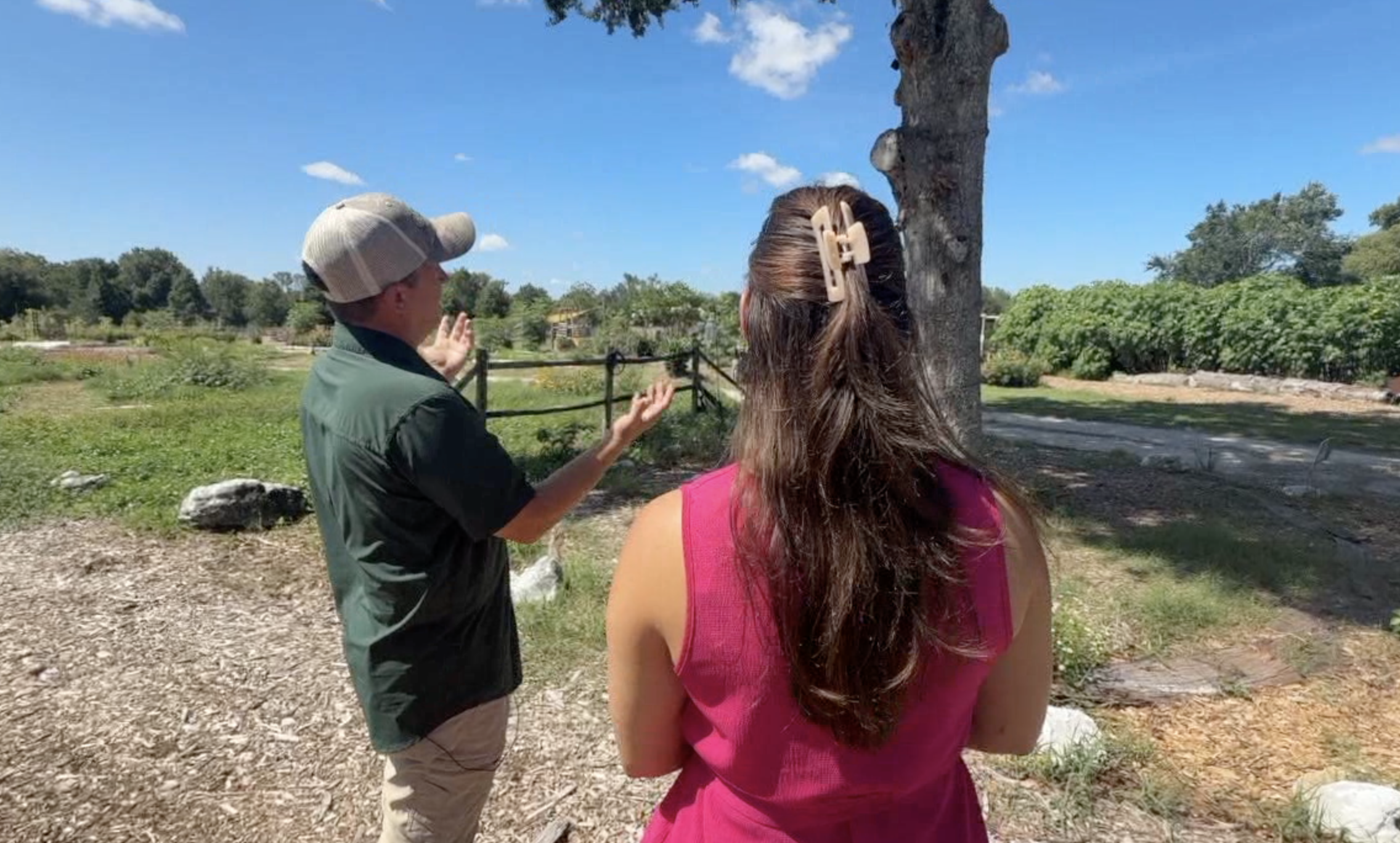 arborist talk about trees