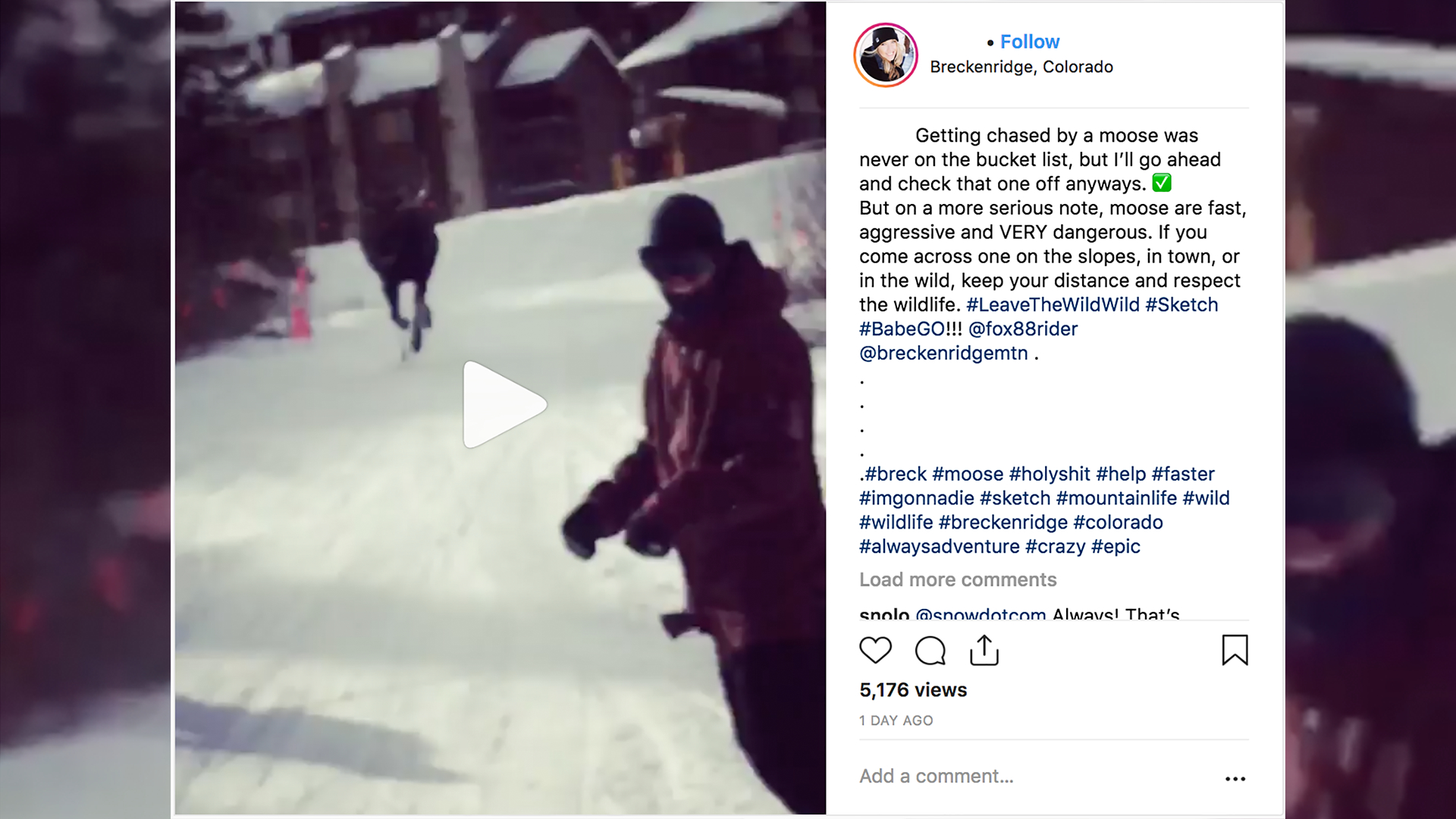 breckenridge moose chase.jpg