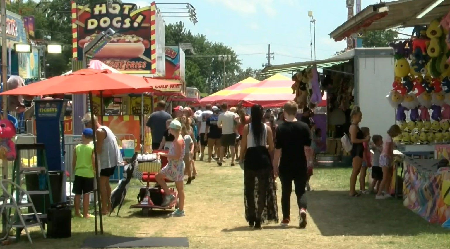 papillion days.jpg