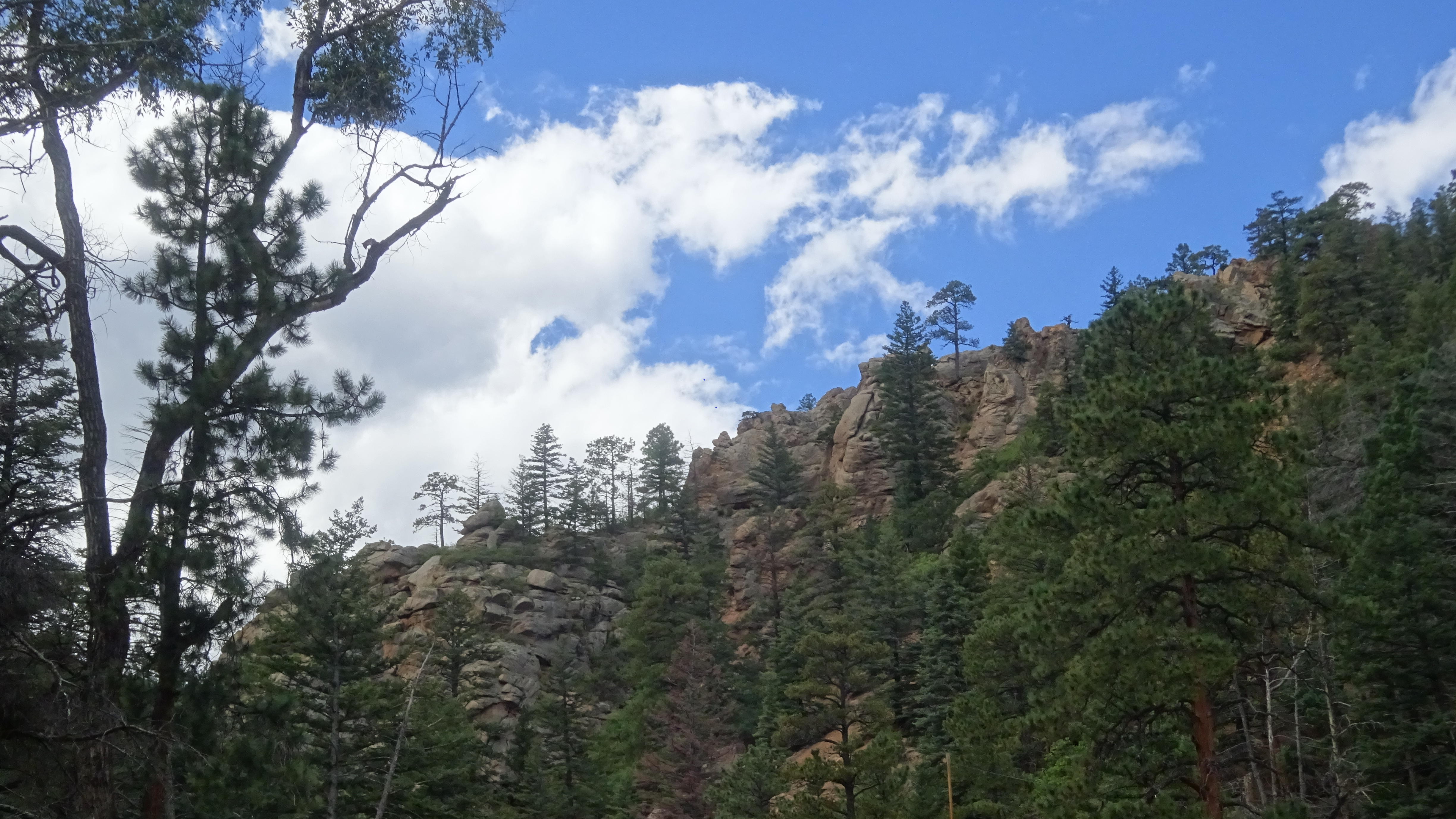 cheynne canyon linda watkins