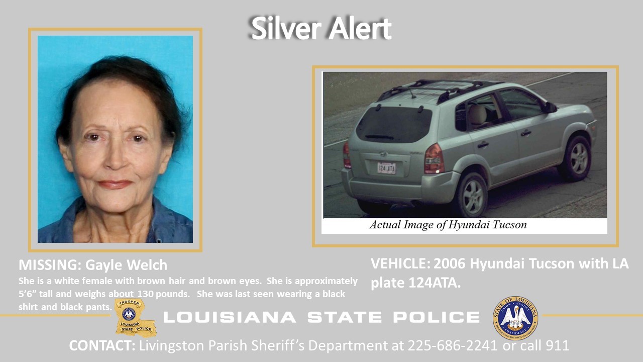 thumbnail_Gayle Welch Silver Alert.jpg