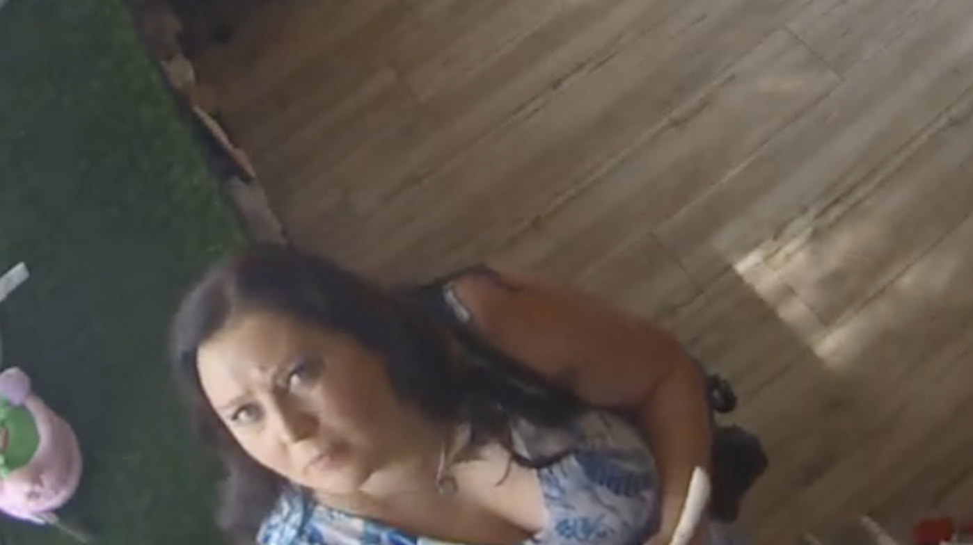 Suspect image from Lil' Rascals surveillance video