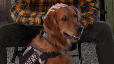 Screenshot 2025-11-11 at 11.30.07 AM.png