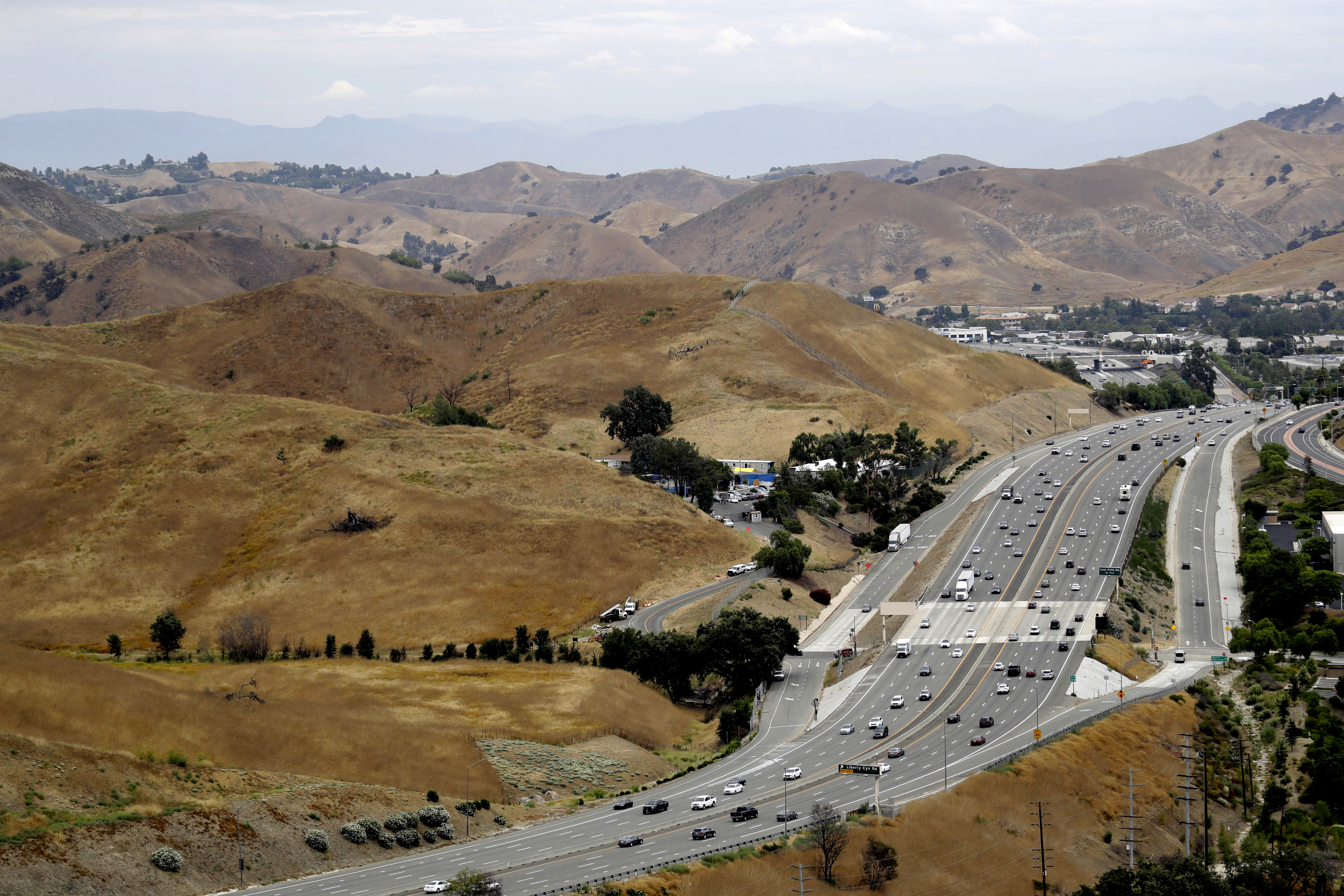 Wildlife Crossing Southern California