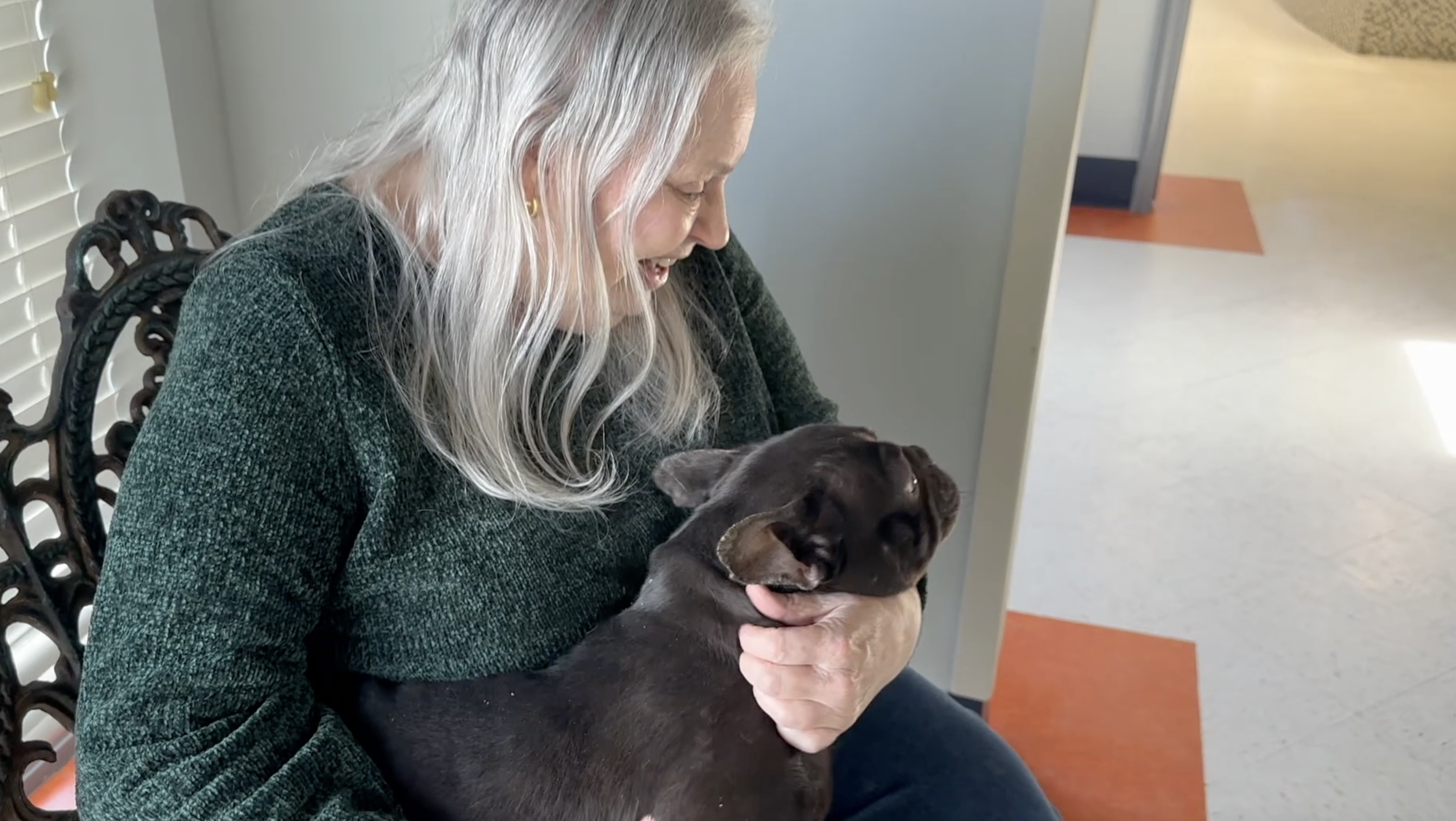 Pasquotank Animal Services Opens