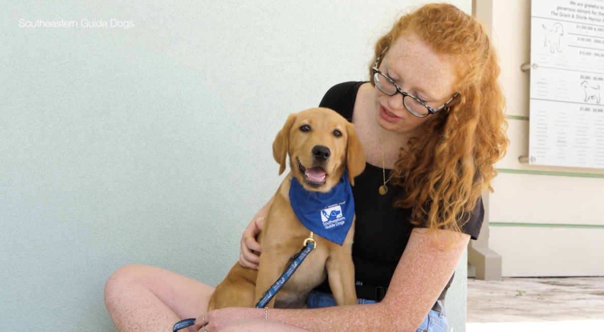 Southern guide dogs