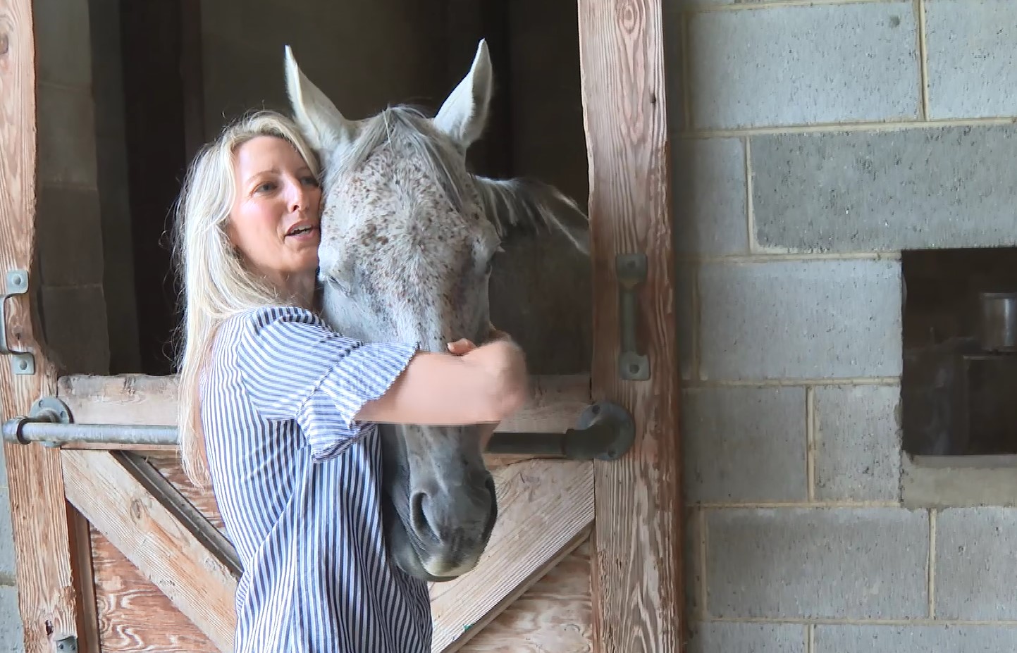 RACC Horses Rescued 1 .jpg