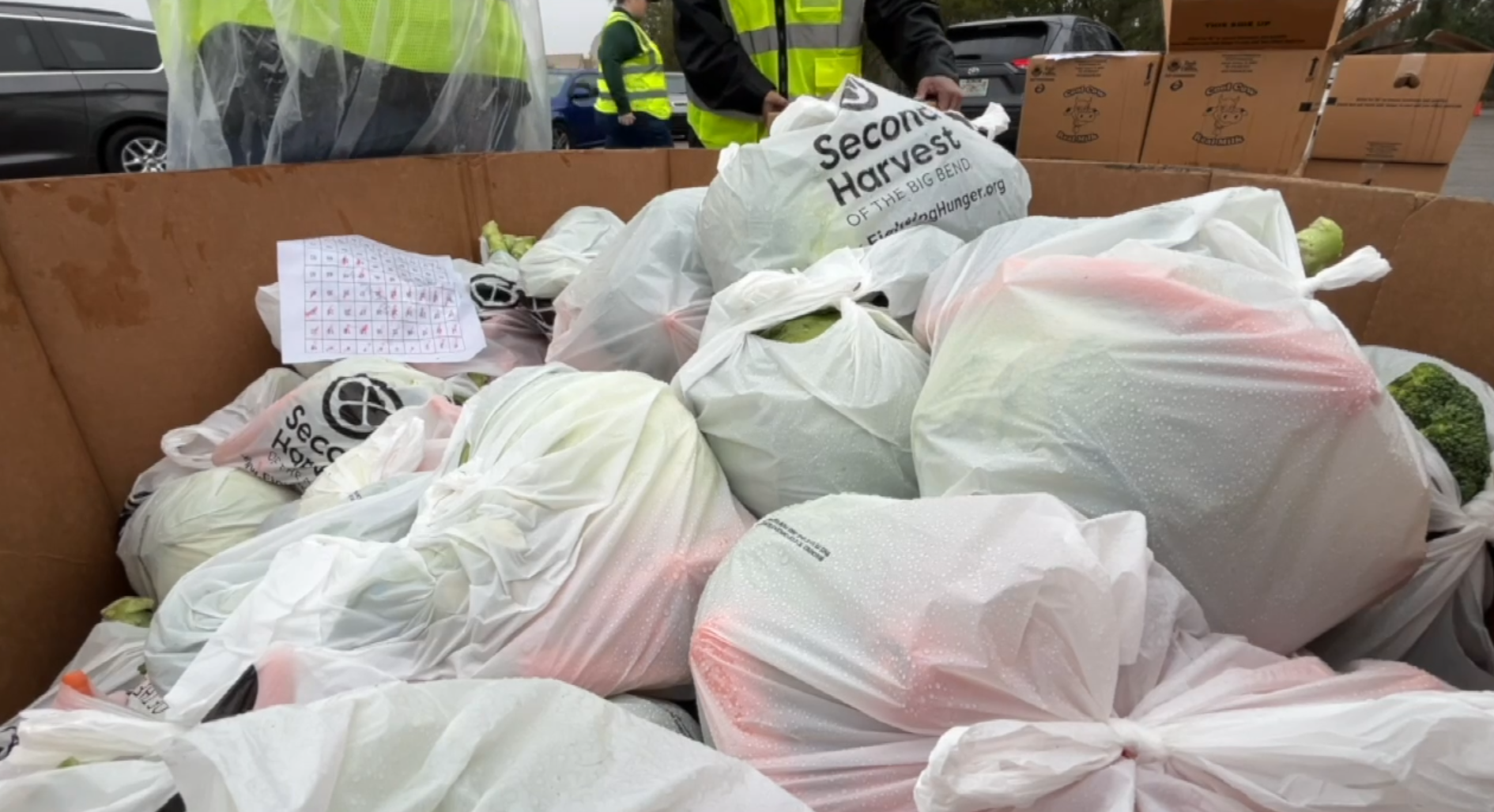 Food distribution in Tallahassee