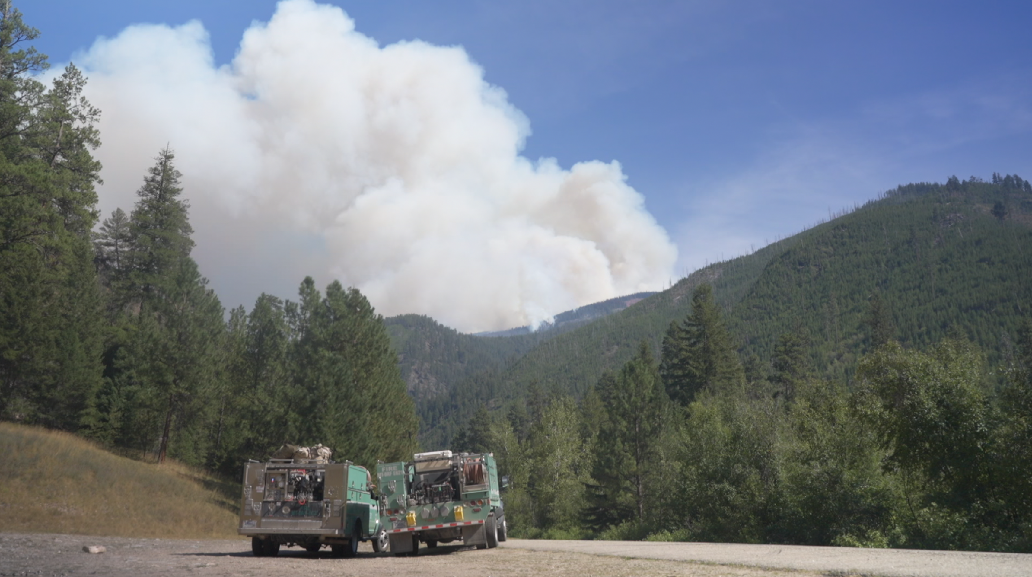 Nature Grove Fire