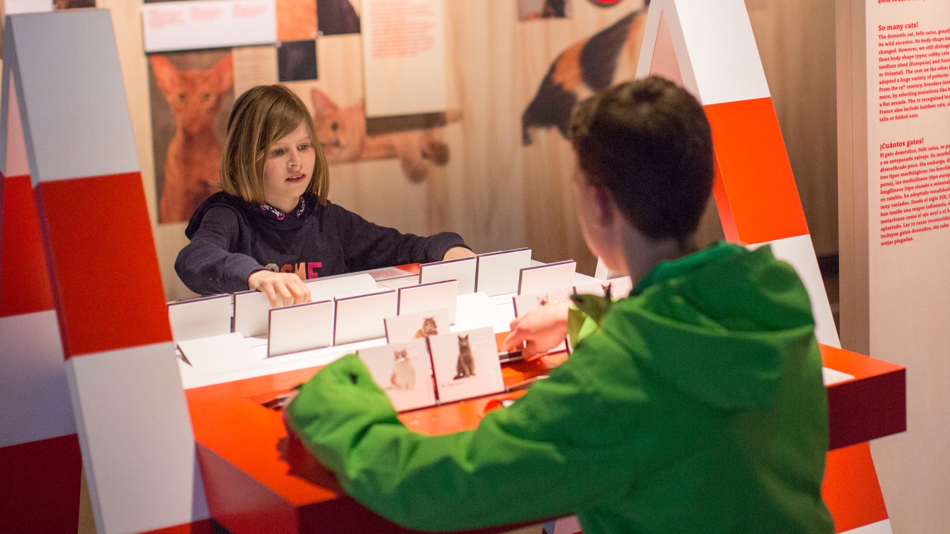 The new Cats & Dogs exhibit at Cox Science Center & Aquarium in West Palm Beach lets visitors explore how pets see, hear, smell and communicate through hands-on experiences.