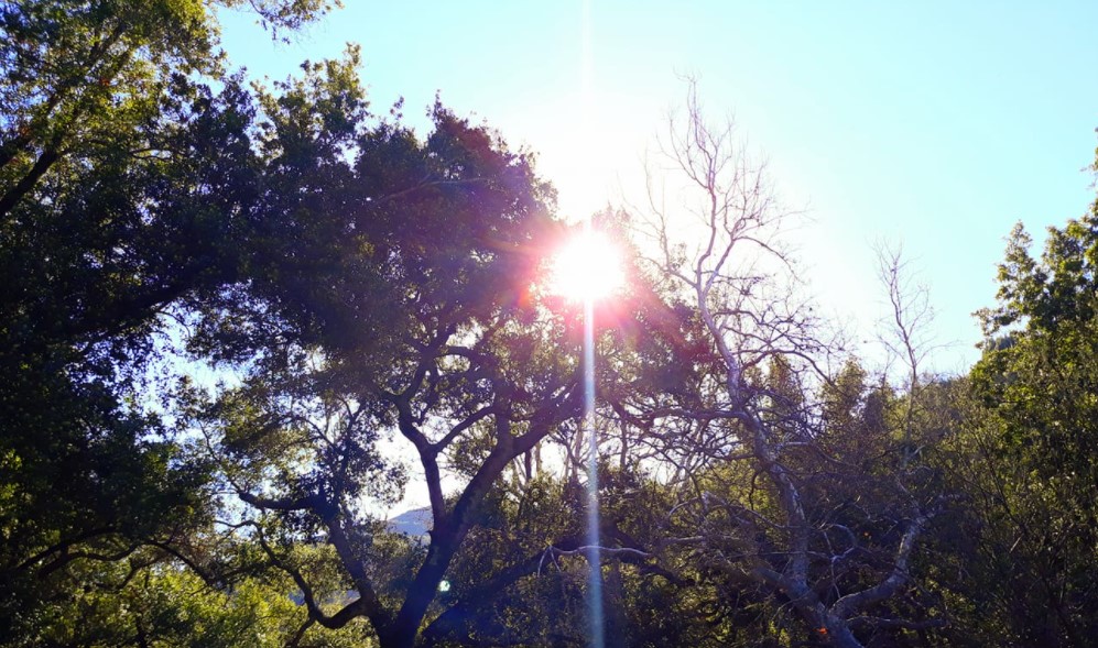 Cerro Alto sunshine