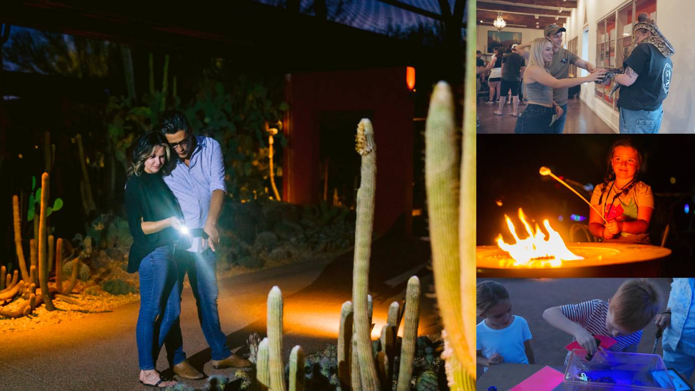 Desert Botanical Garden