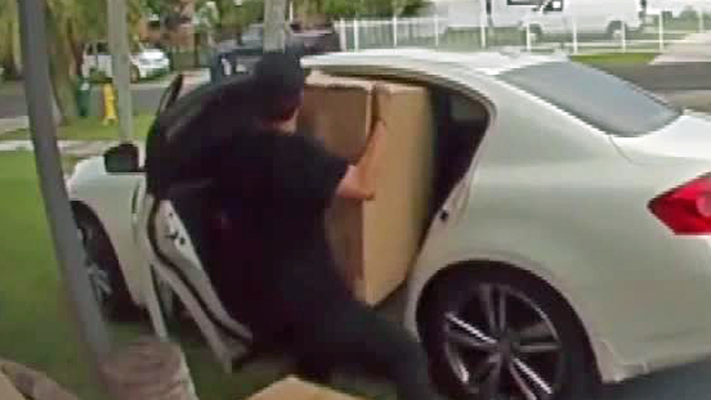 wptv-porch-pirate-large-box.jpg