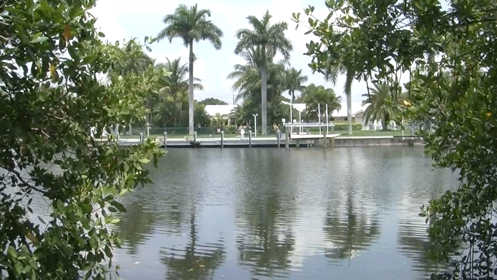 wptv-bethel-creek-.gif