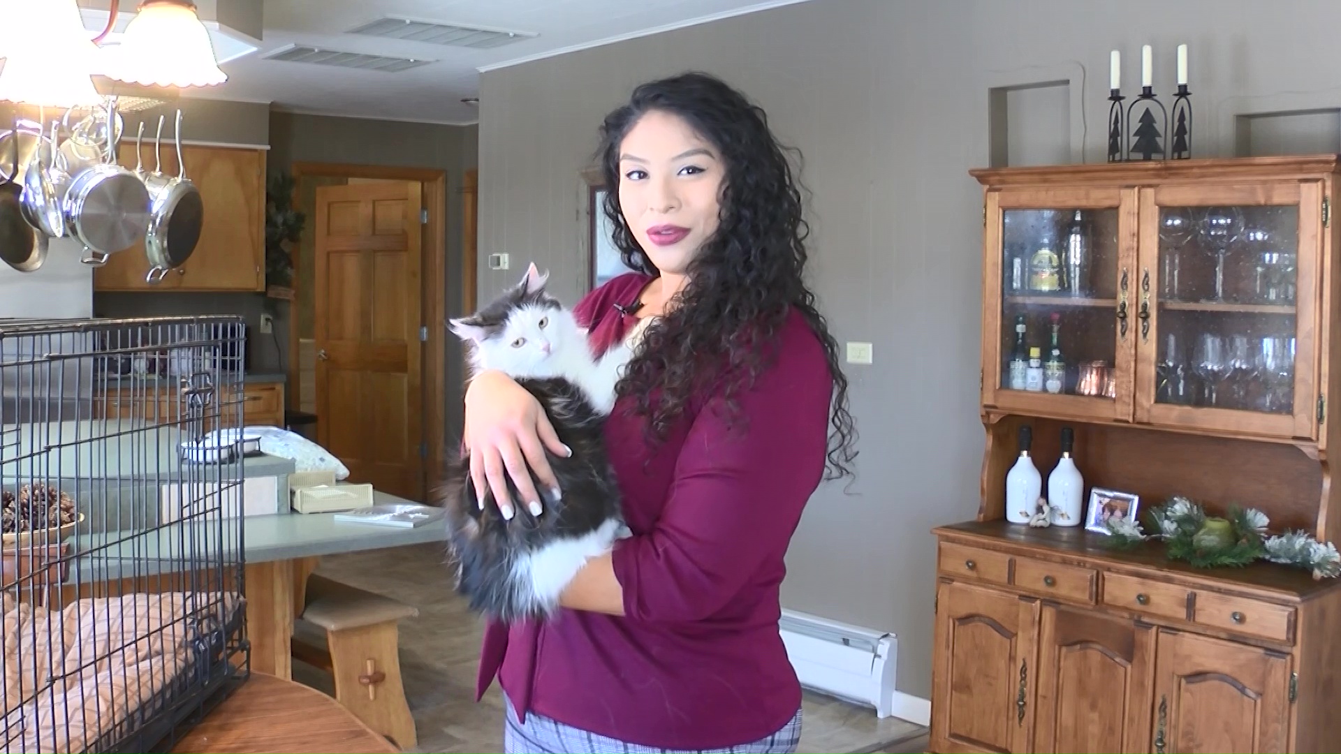 Weekly Wag: meet Maizy