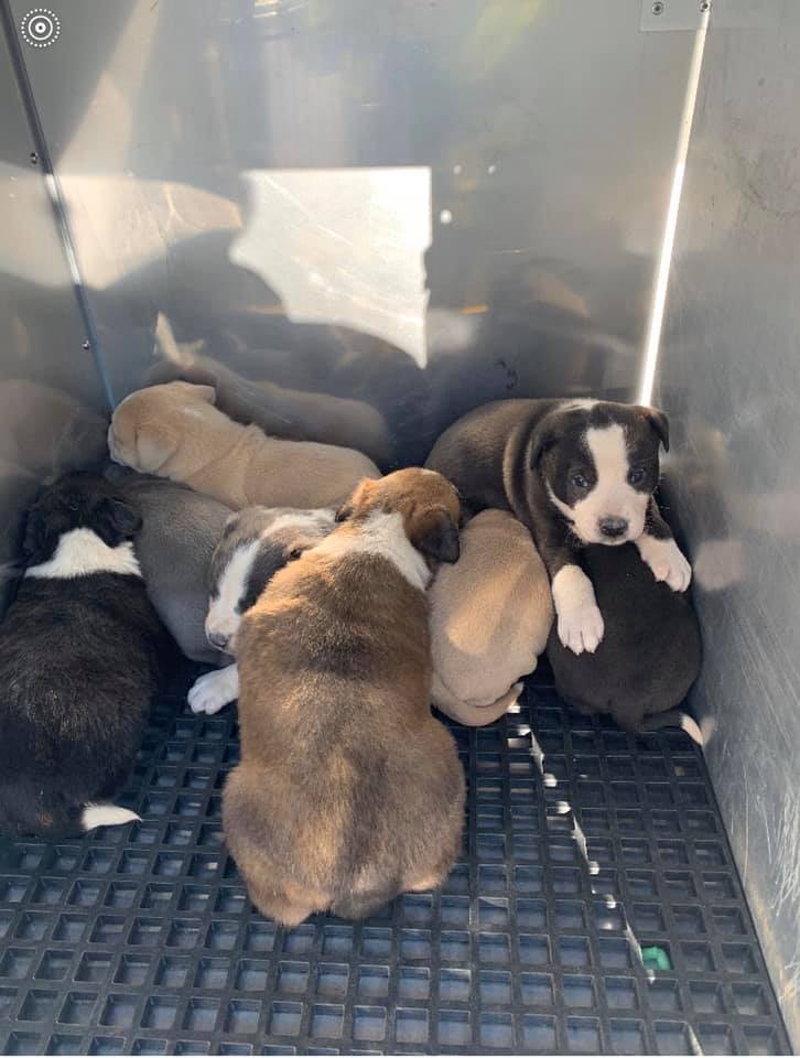 Nashville Fire Department.jpg