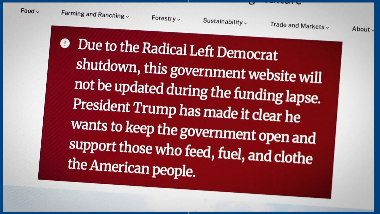 Copy of OBIT BACKGROUND (1).png