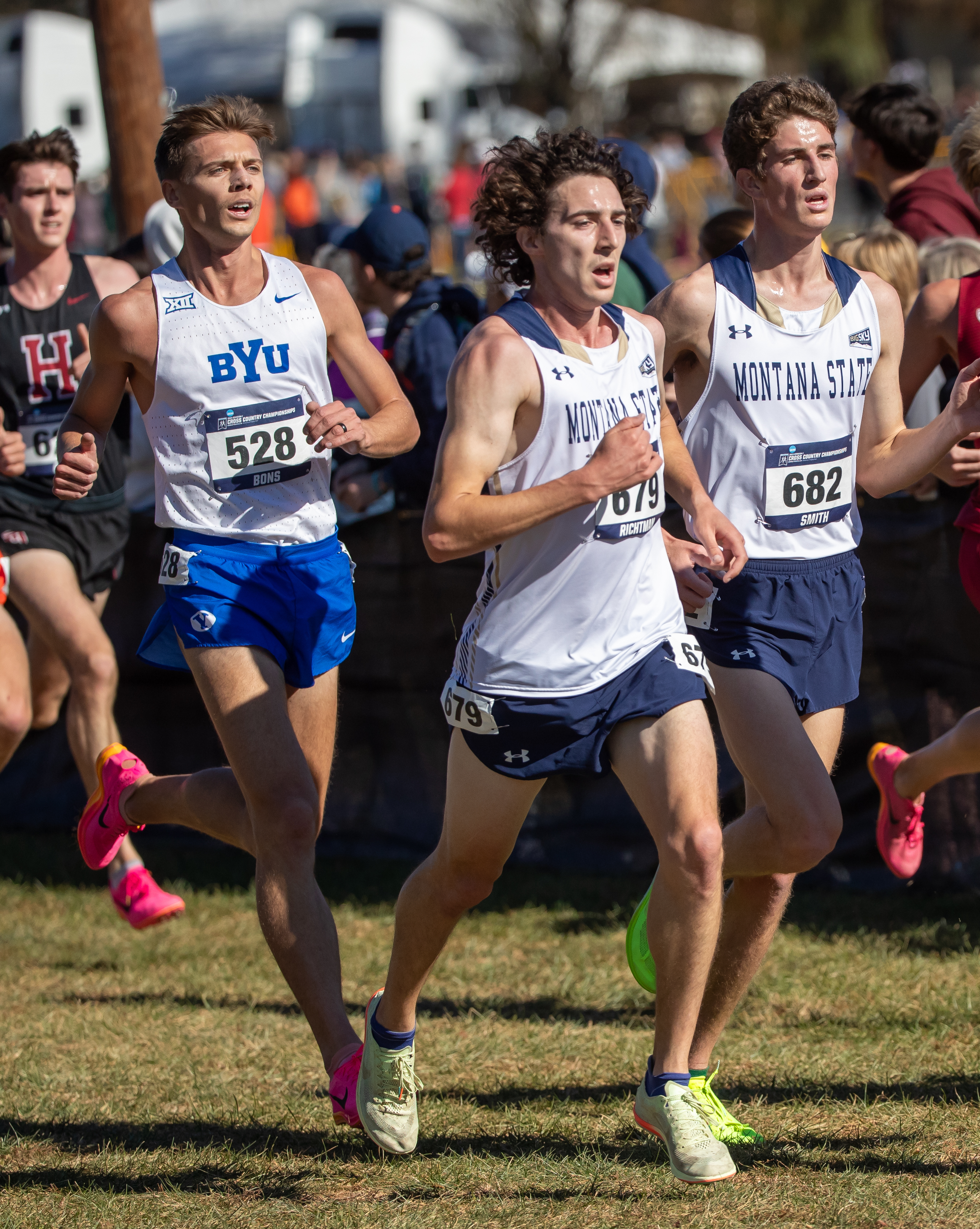 Montana State cross country