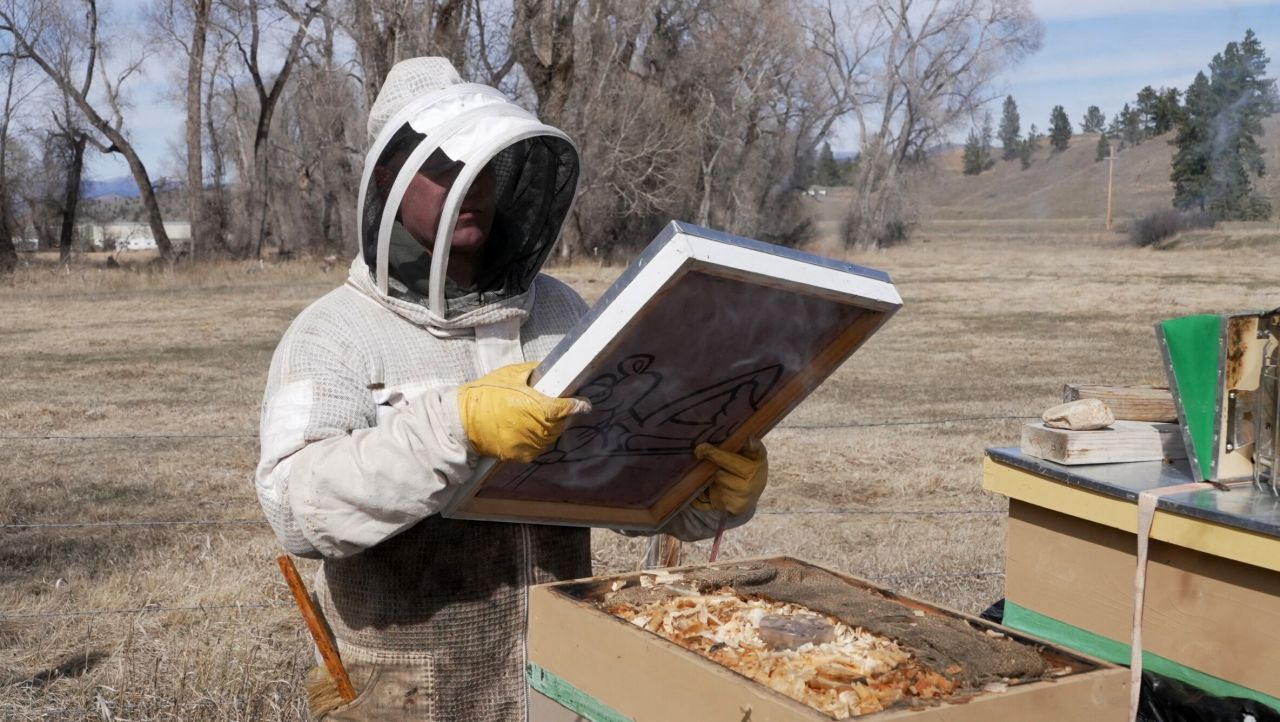 Montana Ag Network: Where Honey Meets Healing