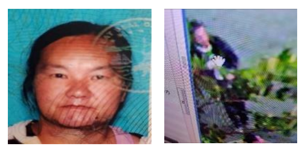 Pang Sue.png