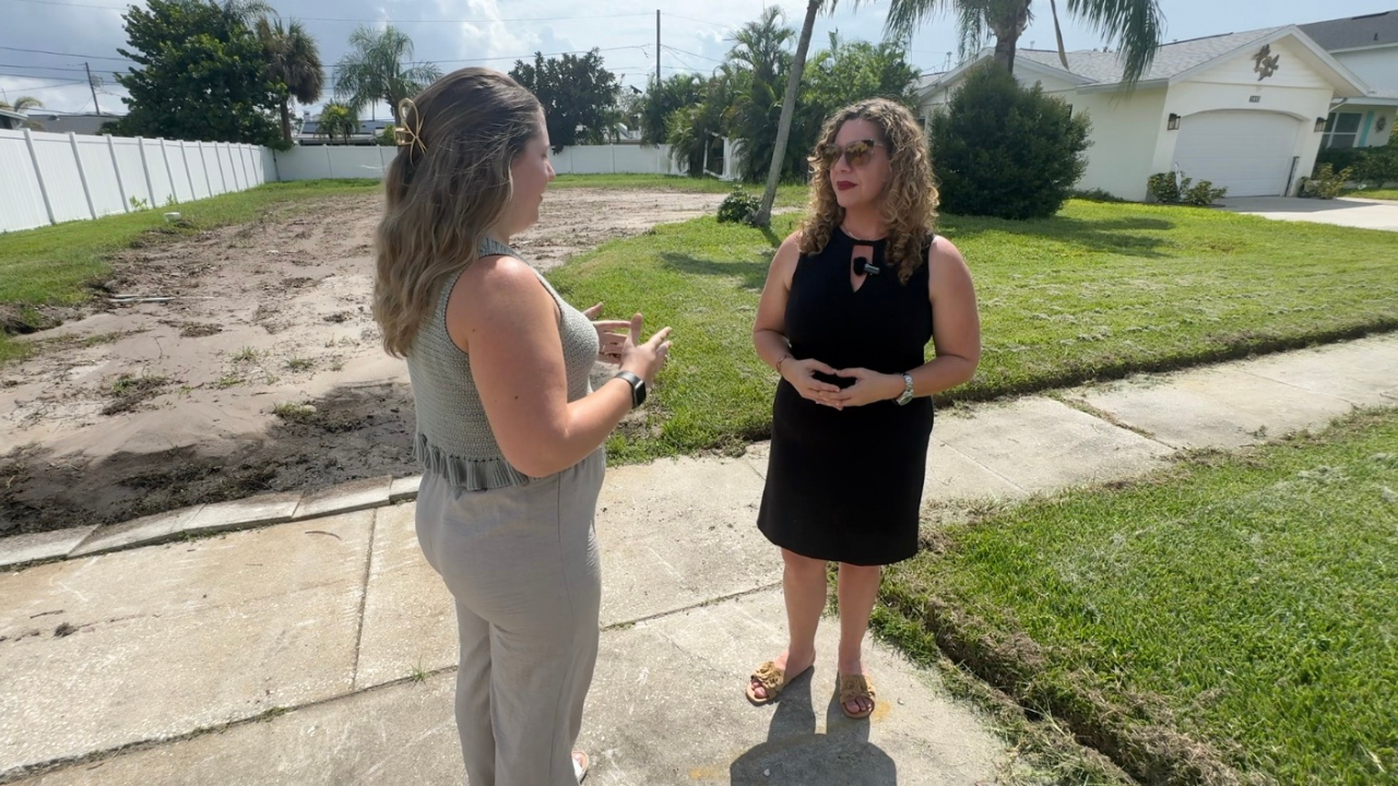 Pinellas County homeowners see increase in mosquito issues