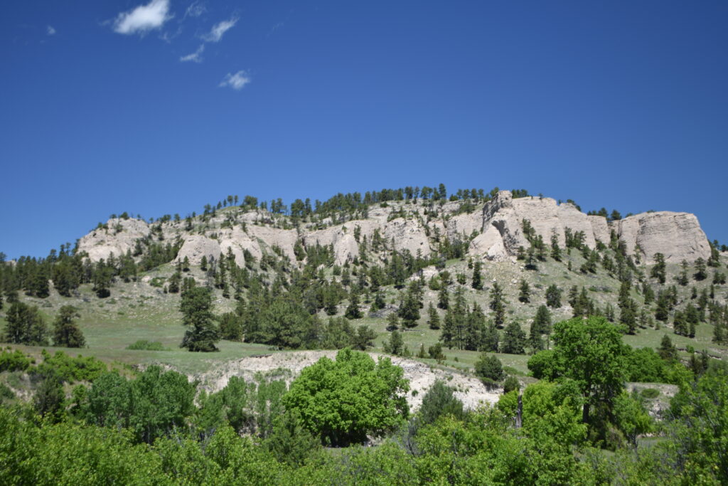 Pine Ridge.jpg