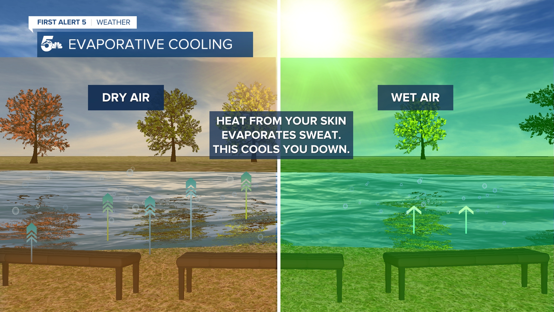 Heat from your skin turns sweat into water vapor. This takes heat away from your body, cooling you down. 