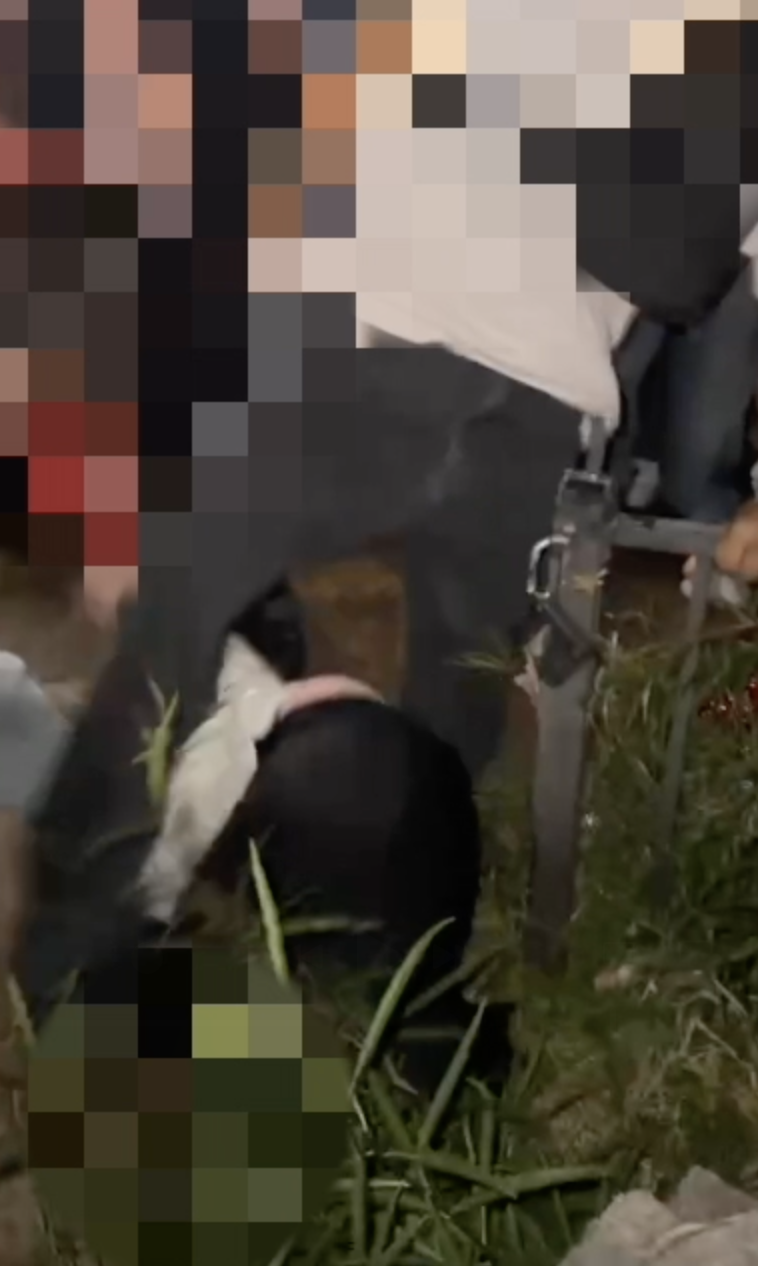 Father calls for justice after 15-year-old son beaten, stomped at Point Loma party