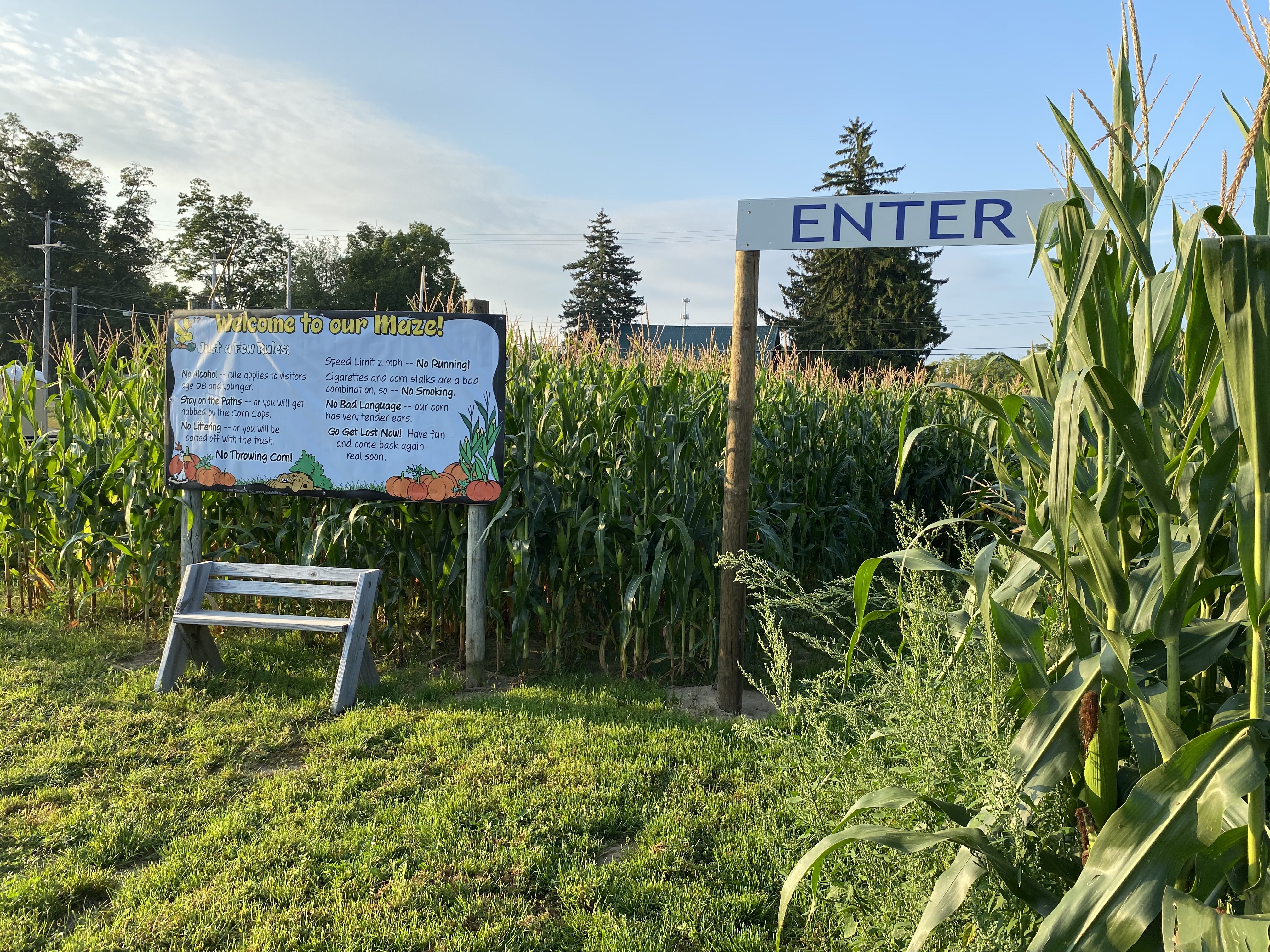 Robinette's pic 10.jpg