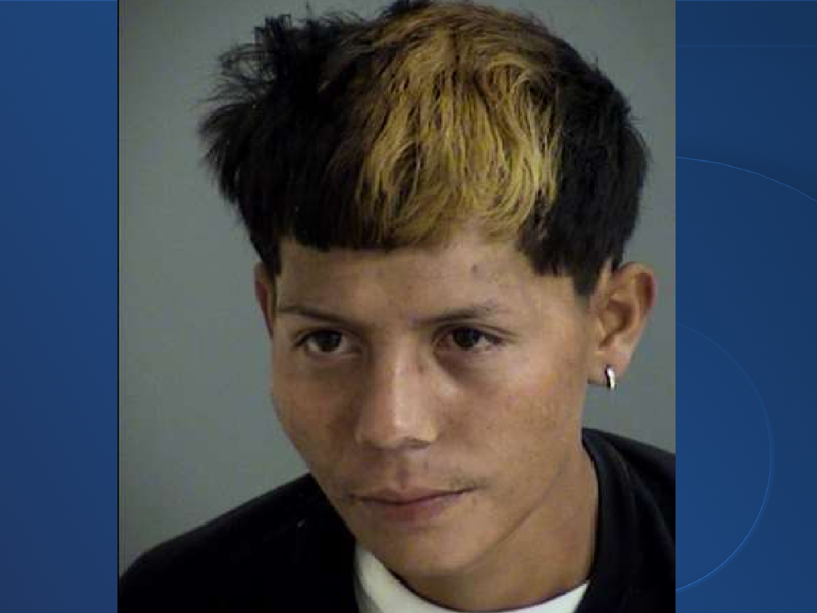 Blue Background copy 21.jpeg