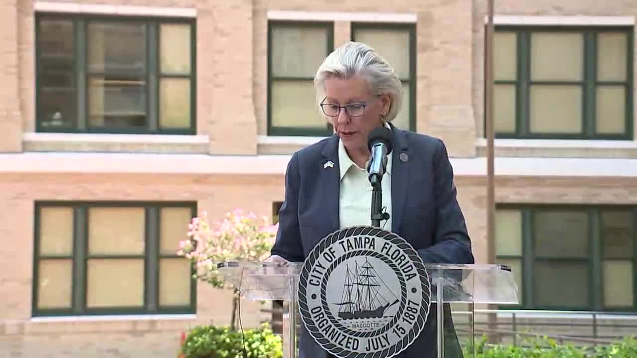 Jane Castor WFTS.png