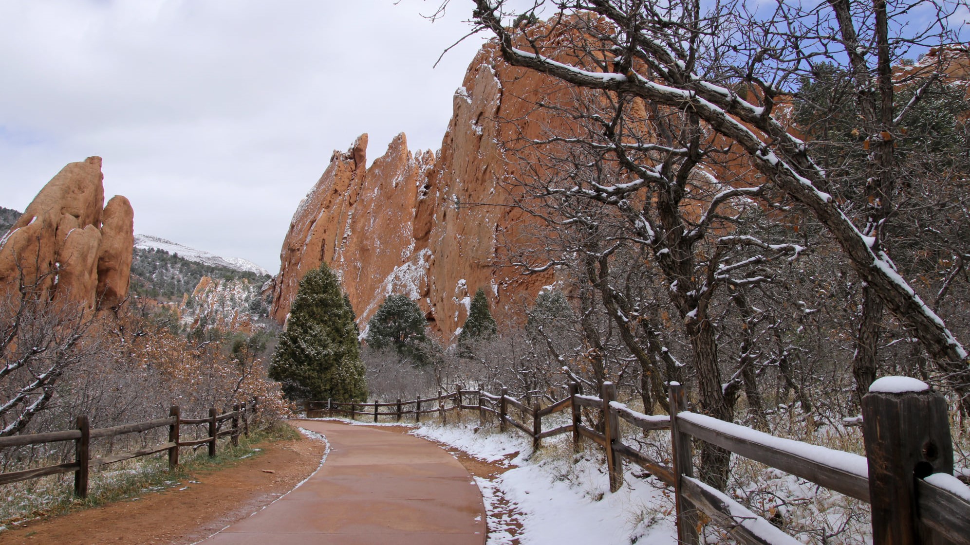 Carol McCallister garden of the gods with snow