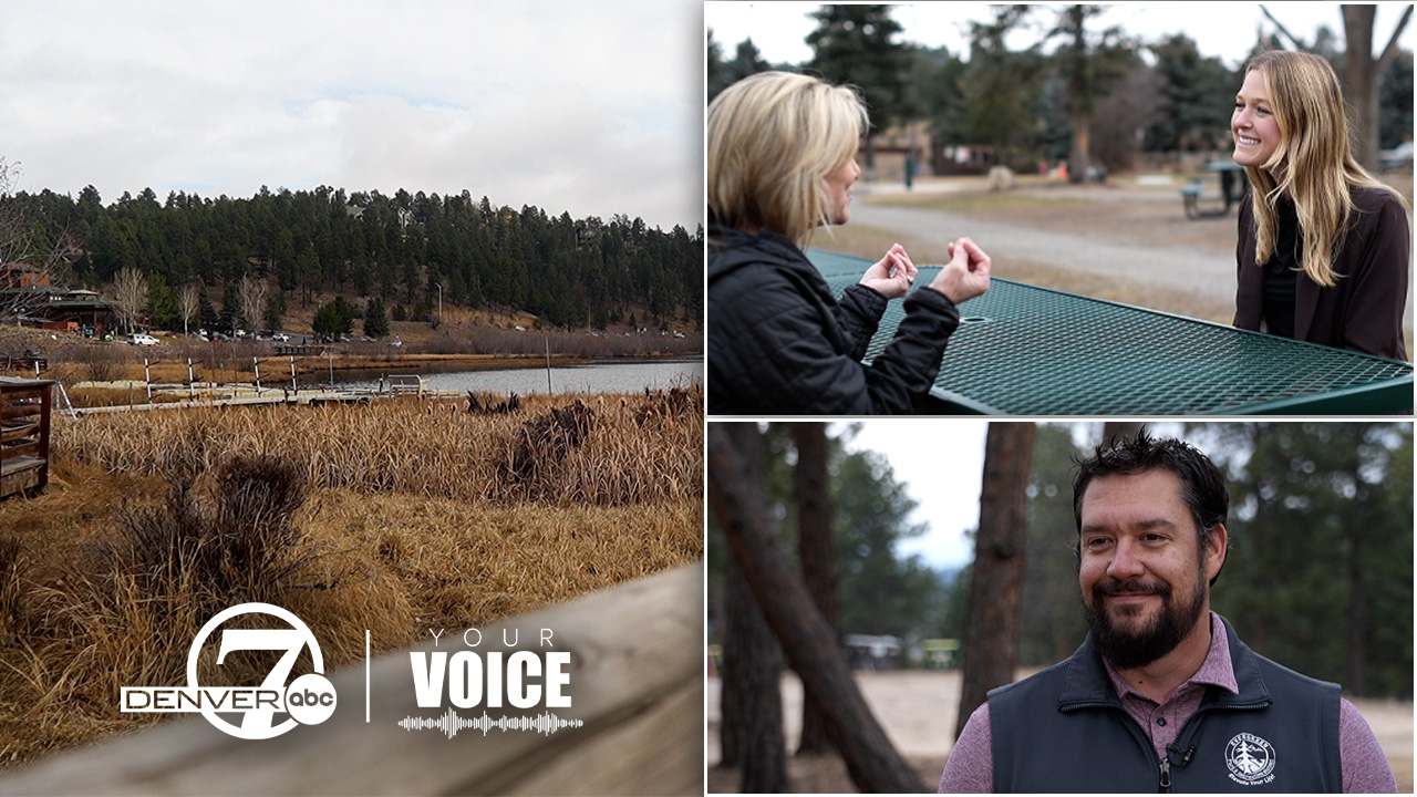 D7 Your Voice Evergreen.jpg