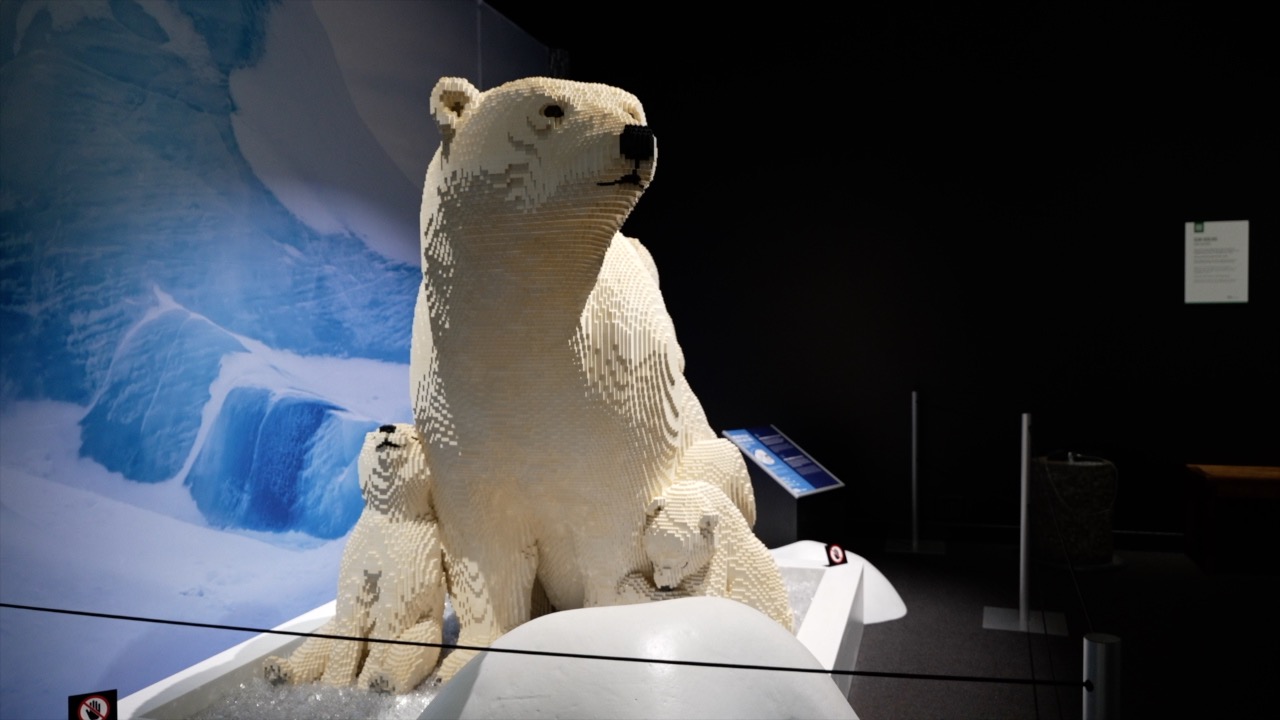 Polar Bear Thumbnail.jpg