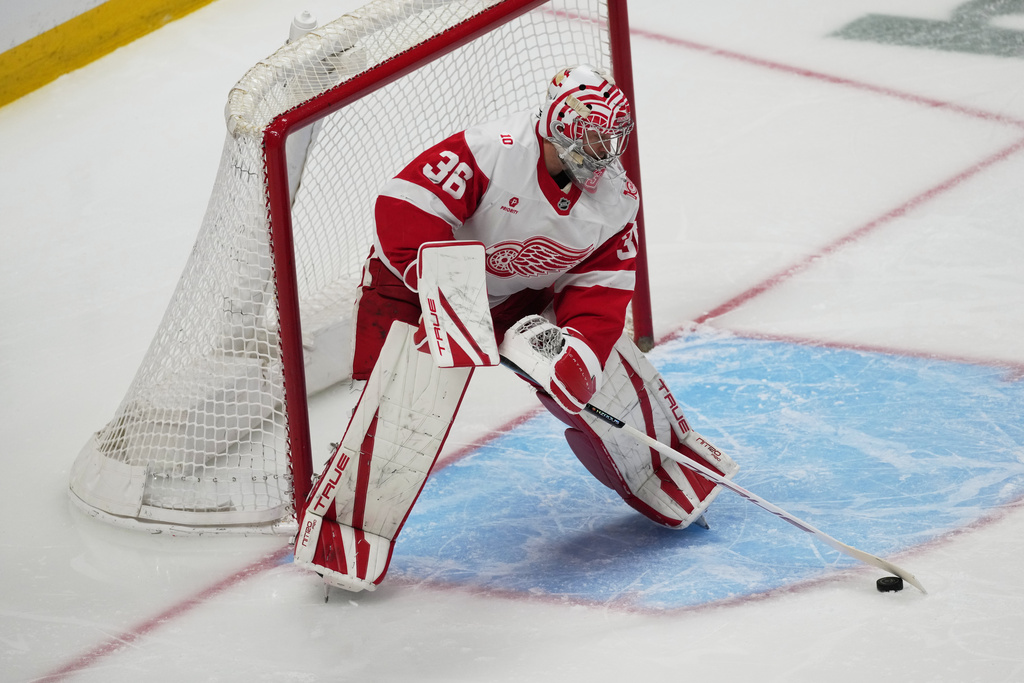 Red Wings Avalanche Hockey