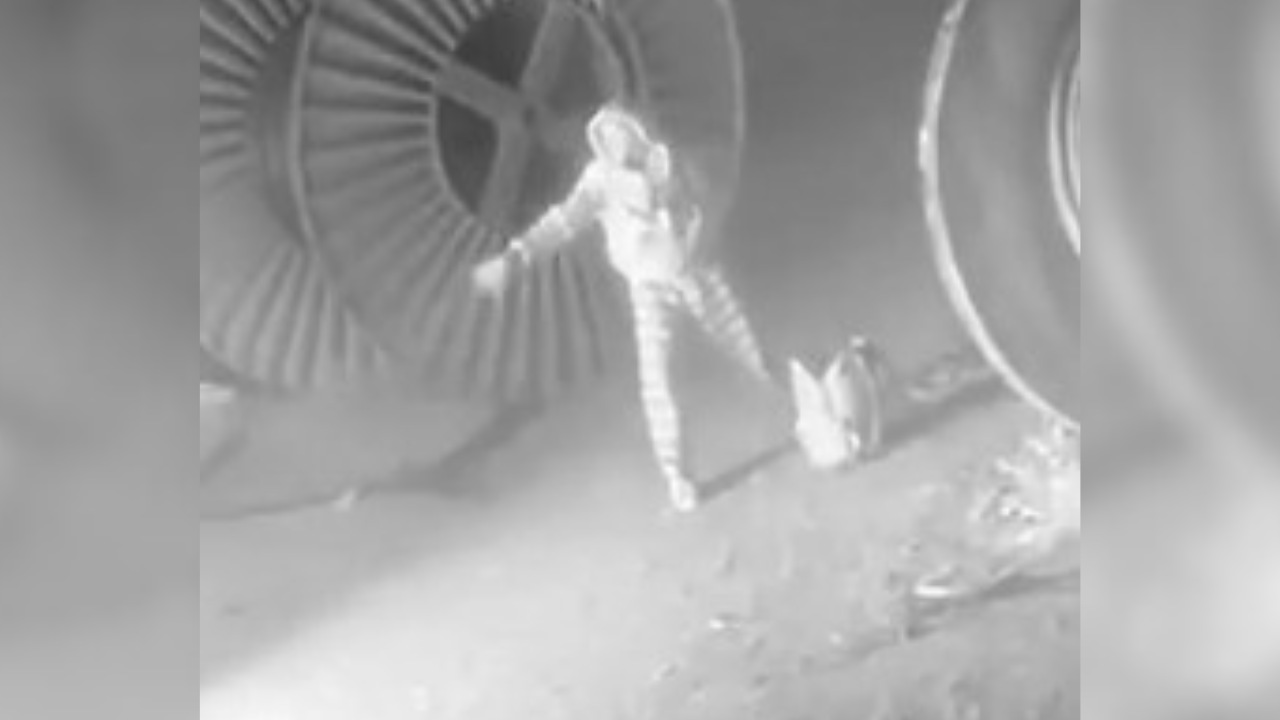 Untitled design (5).png