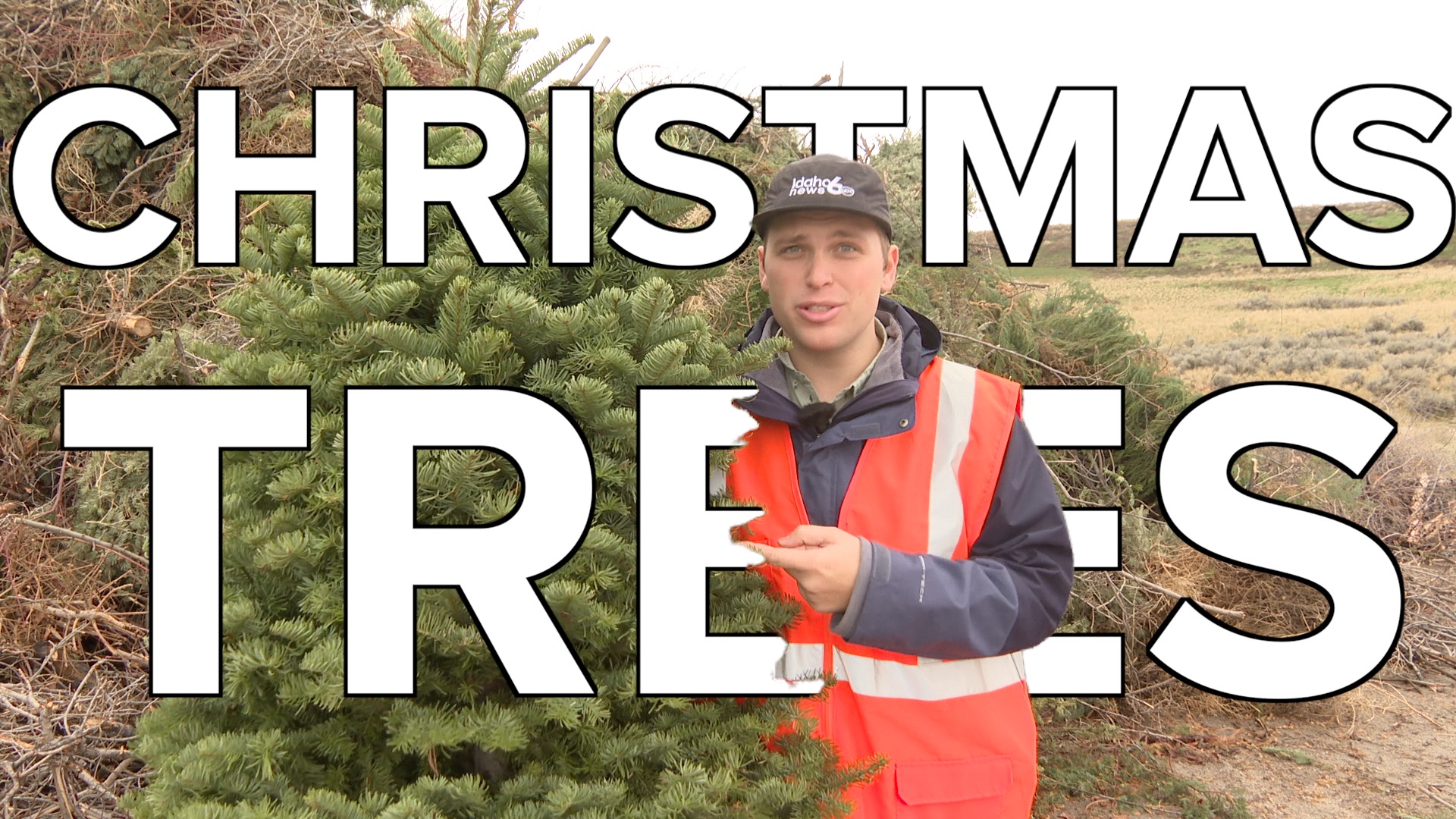 CHRISTMAS TREE DISPOSAL THUMBNAIL.jpg