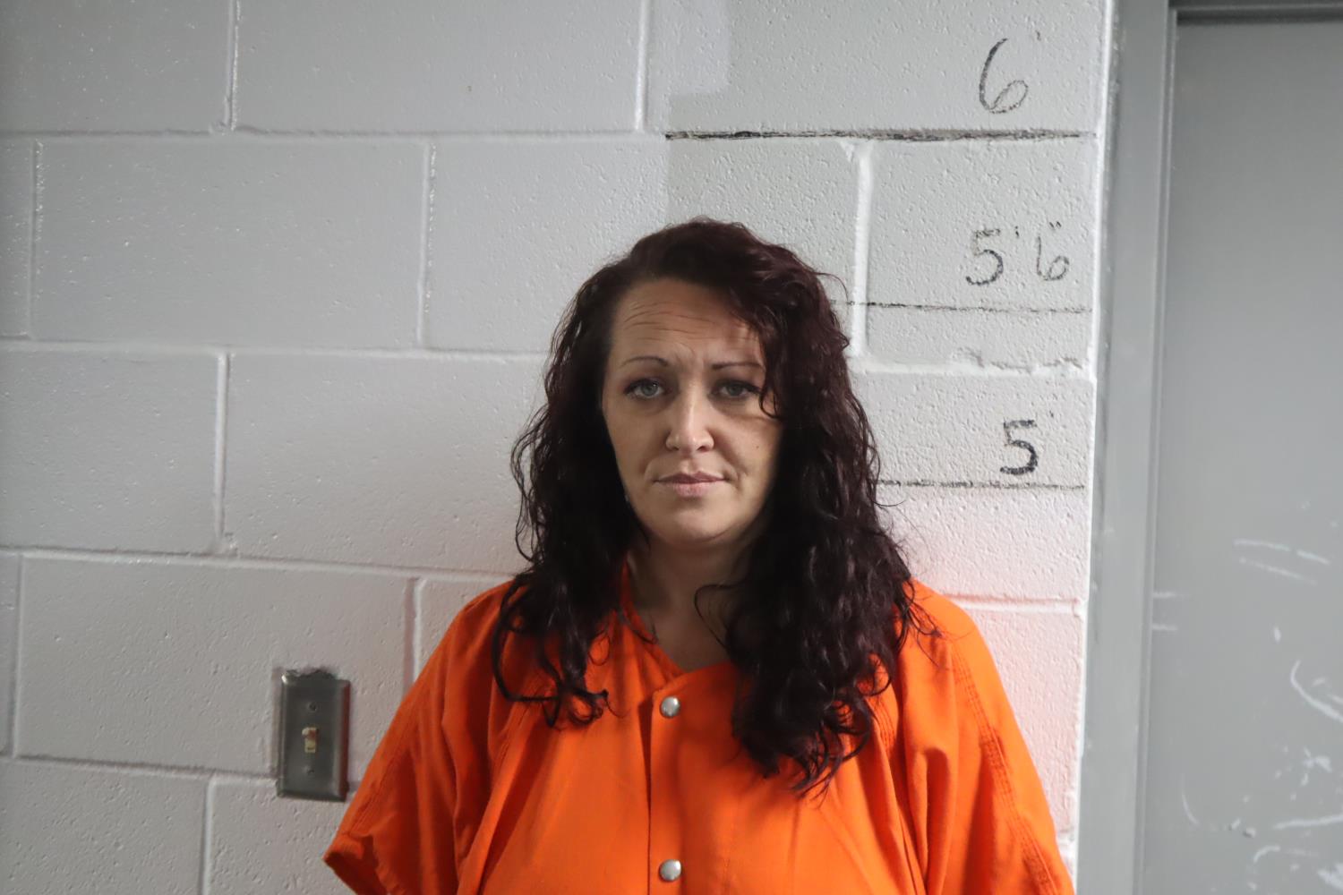 Mugshot: amanda hendricks