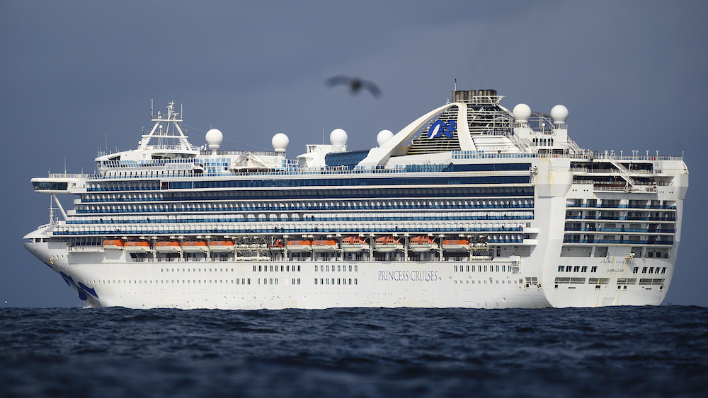 Family of cruise ship passenger who died of COVID-19 sues Princess Cruises
