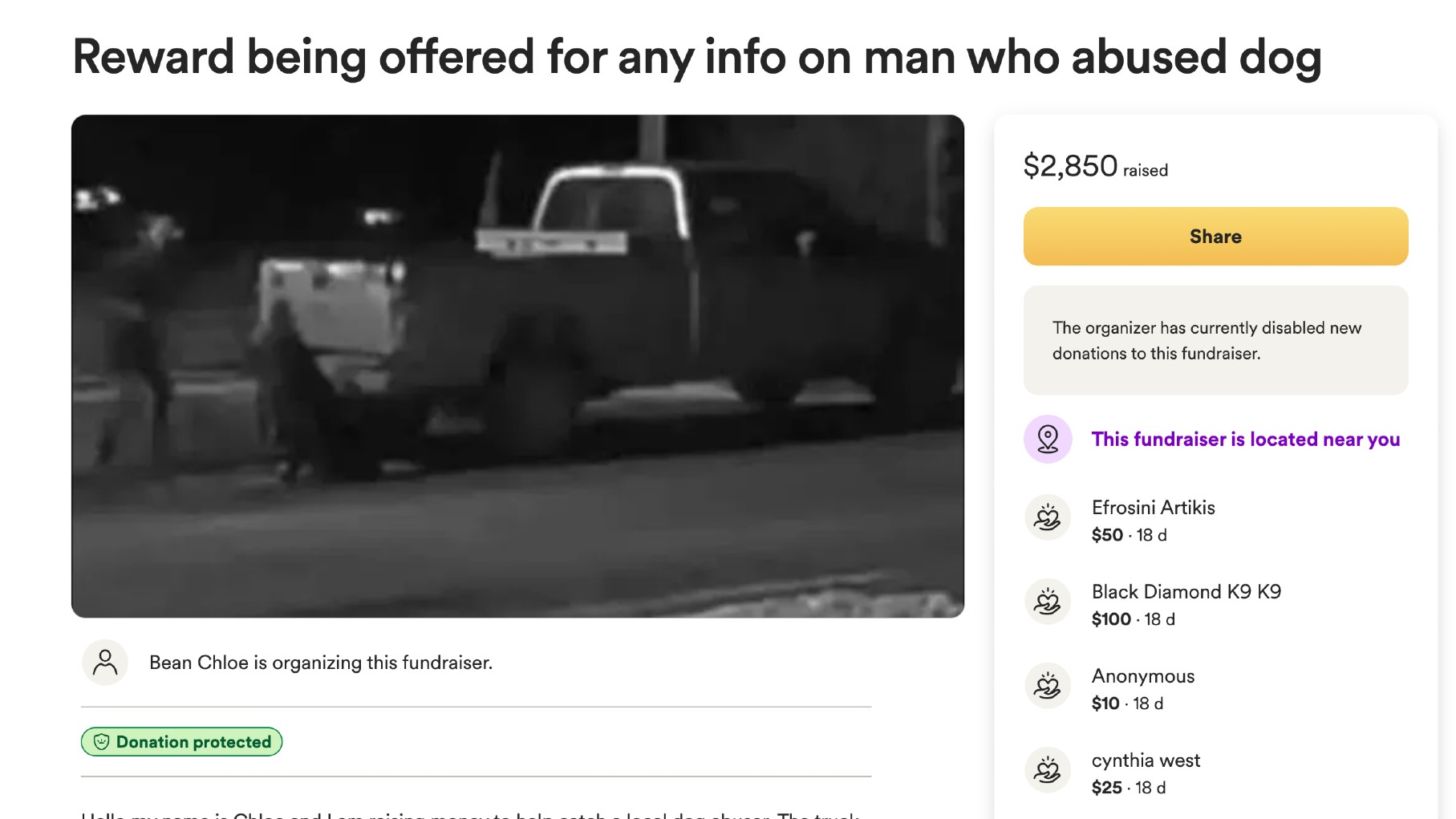dog fundraiser.jpg