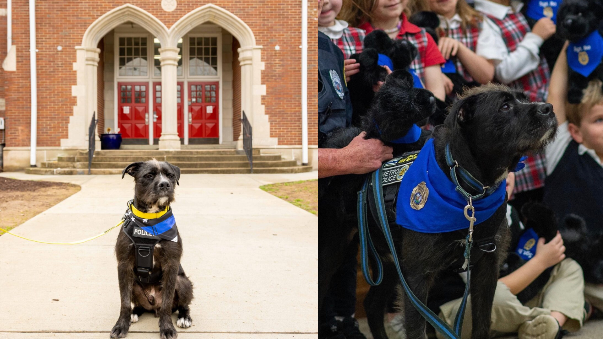 NC5 background USE THIS (57).png