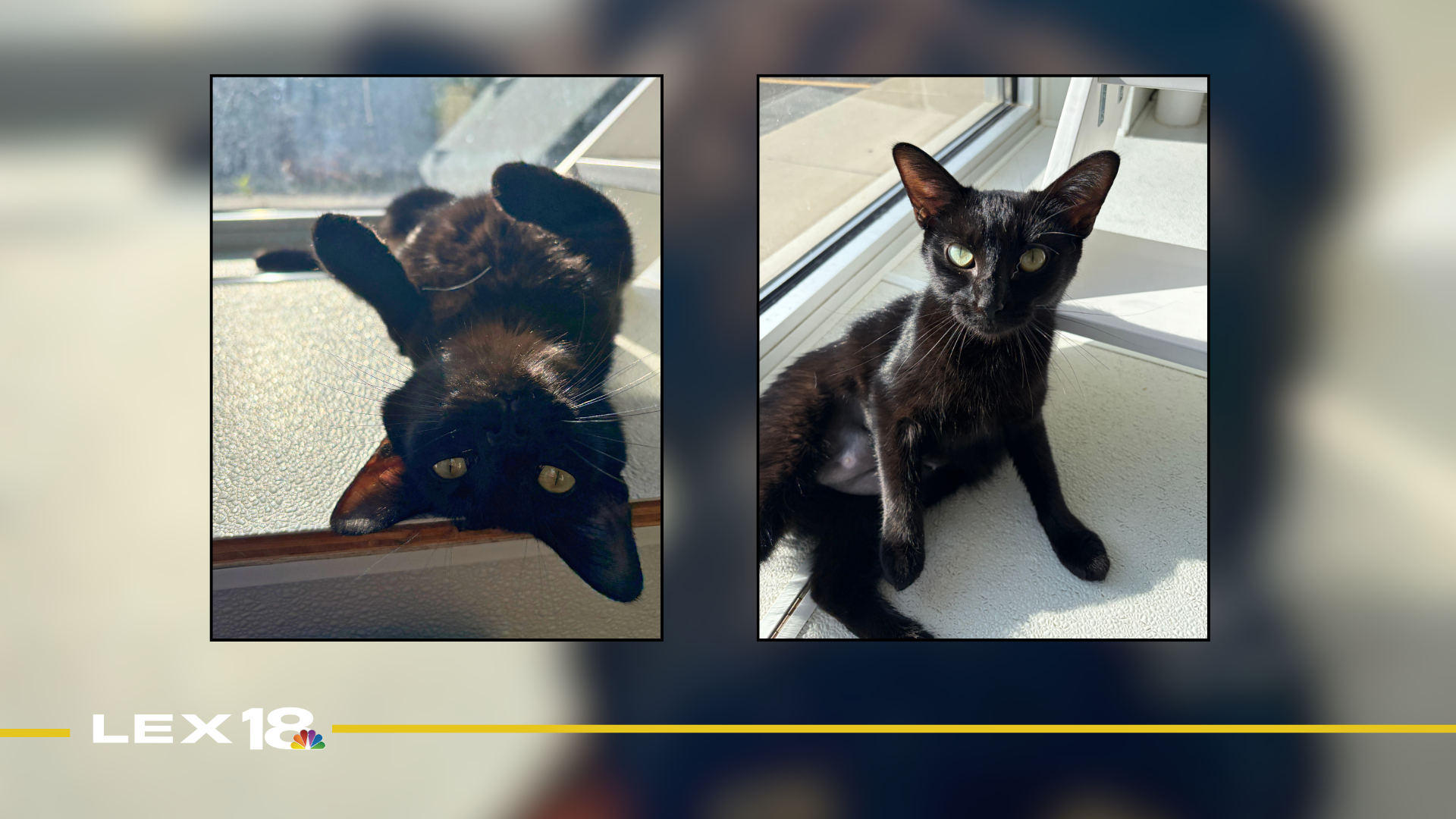 Featured Image Custom Edit (22).png