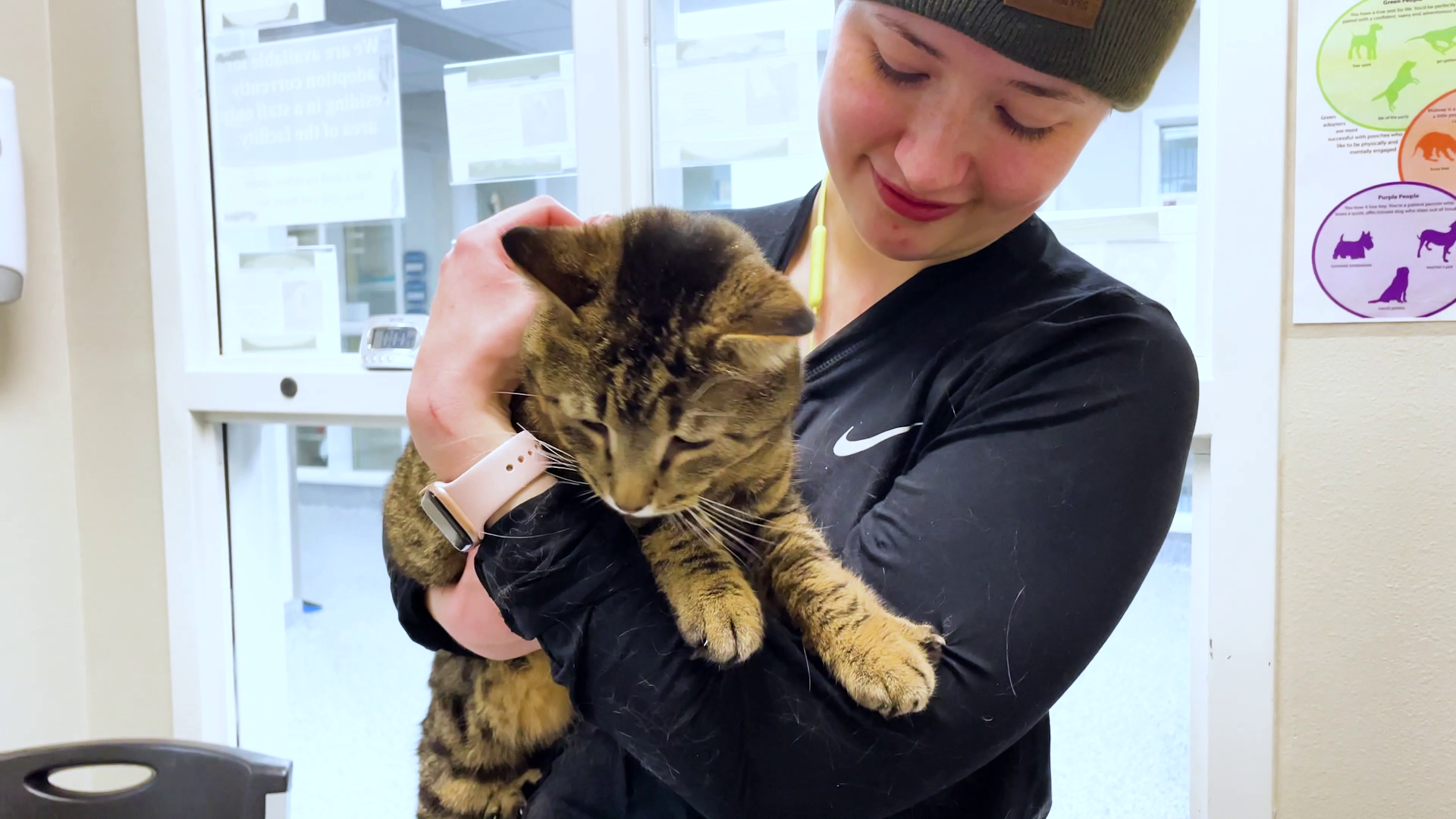 Maclean-Cameron Animal Adoption Center.
