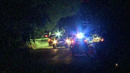 Nashville Amish Buggy Ax