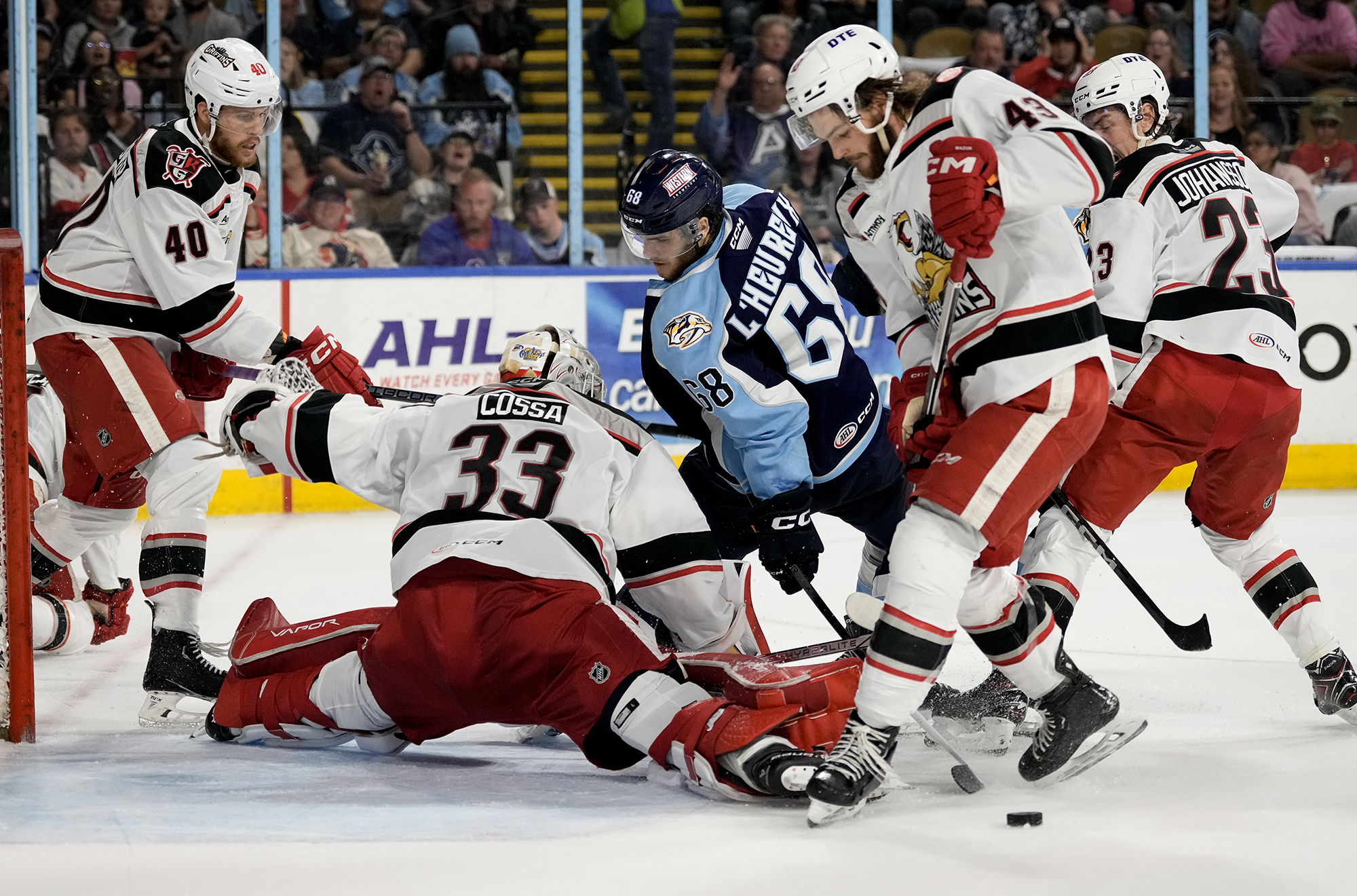 Grand Rapids Griffins