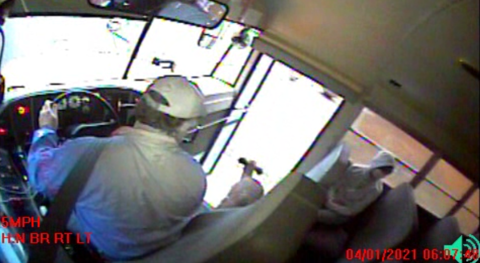 Deer crashes through window