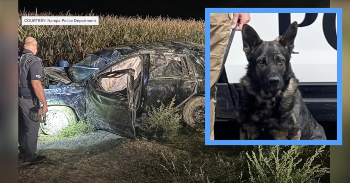 Nampa Police K-9 Riddick killed in rollover crash during pursuit