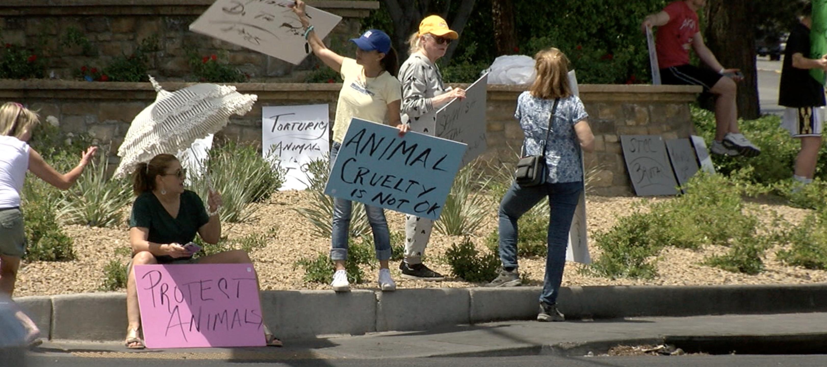 Spanish Trail geese protest