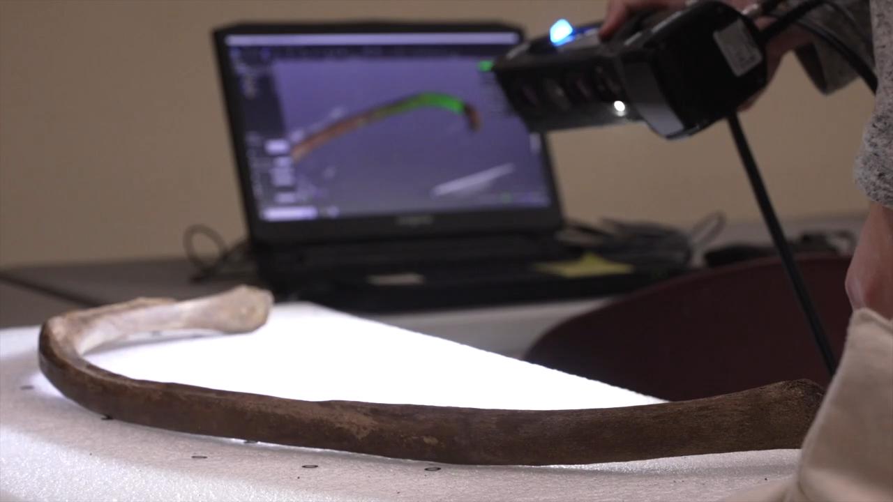 The Clapp Family Mastodon